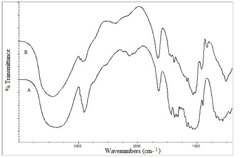 FTIR Spectra Of A Microcrystalline Cellulose OPEFB MCC And B