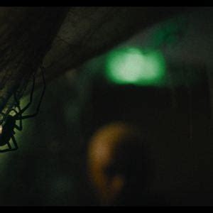 Spiders Ihr Biss Ist Der Tod Film 2023 FILMSTARTS De