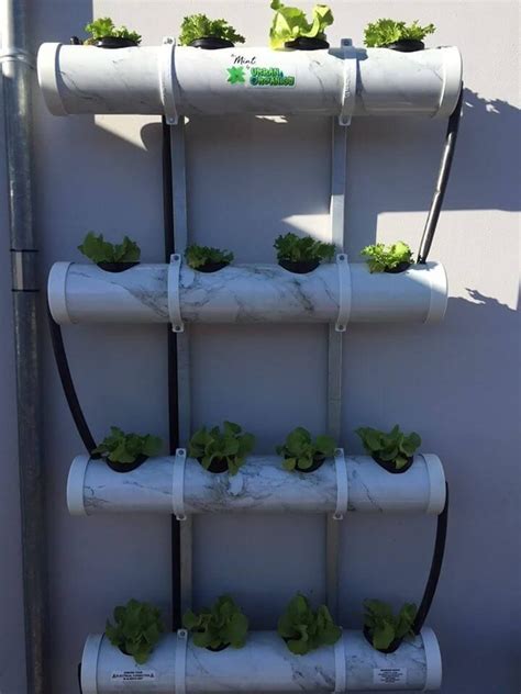 How To Make Home Garden And Fresh Vegetables By Pvc Pipe Artofit