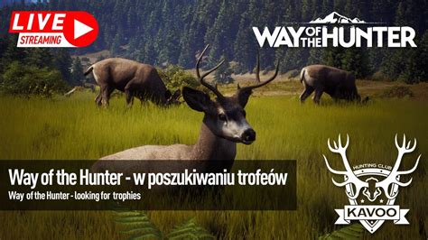 Way Of The Hunter Polowanie Na Osia Youtube