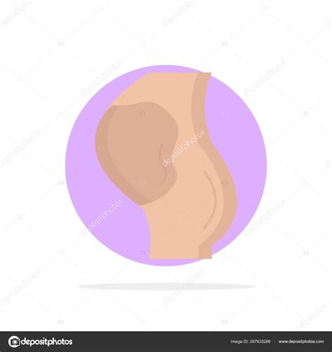 Pregnancy Pregnant Baby Obstetrics Fetus Flat Color Icon Vec Stock