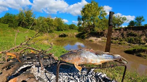 PESCA Y COCINA EN ARROYO Bagres A La Parrilla Aventura Por El Campo Y