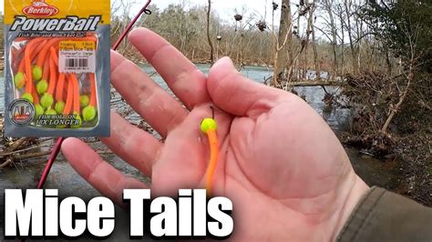 Trout Fishing In High Water With Powerbait Mice Tails Trout Bait