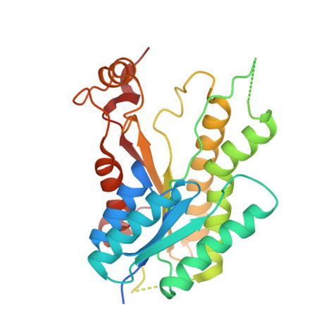 Rcsb Pdb Cm Crystal Structure Of Pteridine Reductase Ptr From