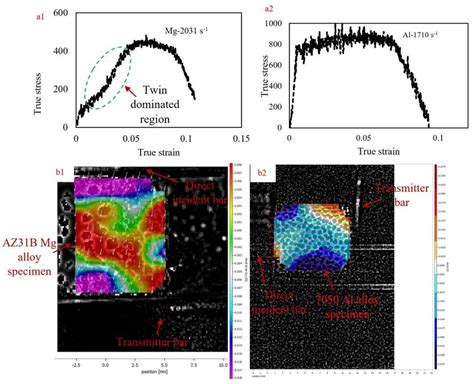 Figure Scanning Electron Micrographs Showing The Microstructures Of