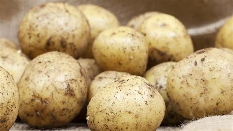 Potato growing problems: common issues and how to avoid them | Homes ...