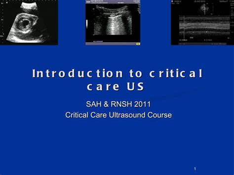 Introduction To Critical Care Ultrasound Ppt