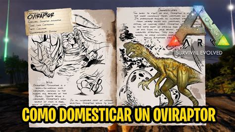 Cómo domesticar tamear un OVIRAPTOR en ARK Survival Evolved 2020