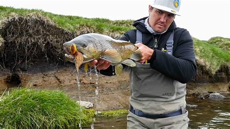 Northern River Fishing - Fish Partner