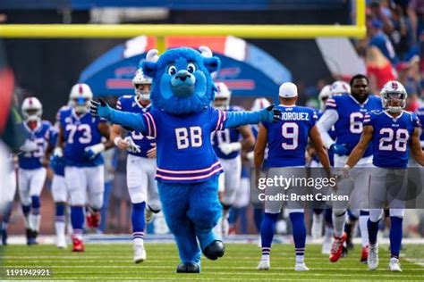 Buffalo Bills Mascot Photos and Premium High Res Pictures - Getty Images