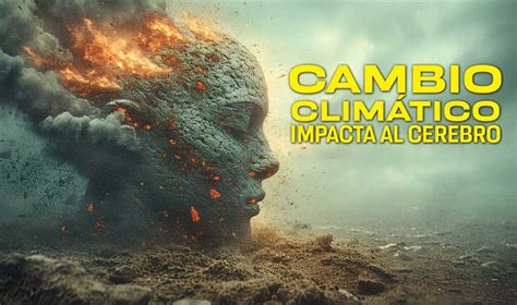 Cambio Climático ¿cómo Modifica El Cerebro Y La Salud Física Unam