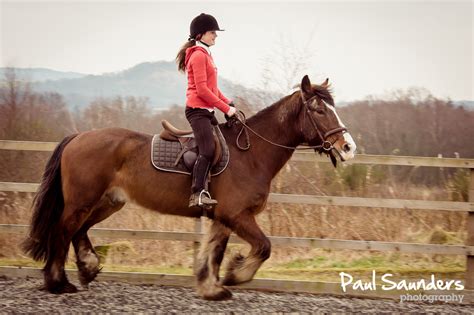 Paul Saunders Portrait Photography Blog Horse Riding Photography Session