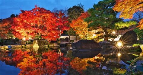 【姫路城】日本庭園 好古園で紅葉ライトアップイベント「紅葉会」が11月15日からスタート：マピオンニュース