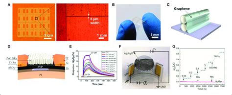 Schematic Diagram And Its Test Diagram Of Graphene Based Environment