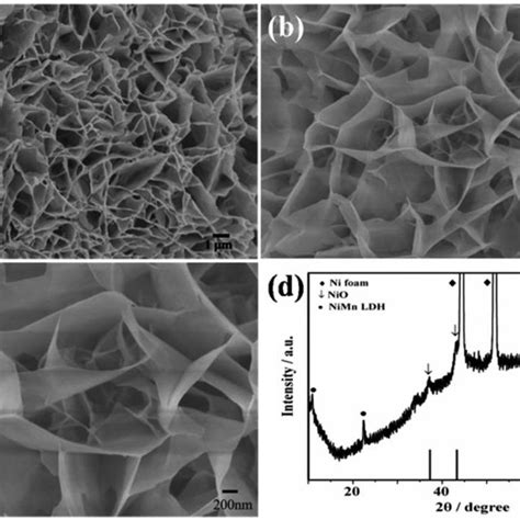 A Sem Image Of The Nio Nanoplate On Ni Foam B And C Sem Images Of