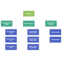 General Hospital Organizational Chart Labb By AG