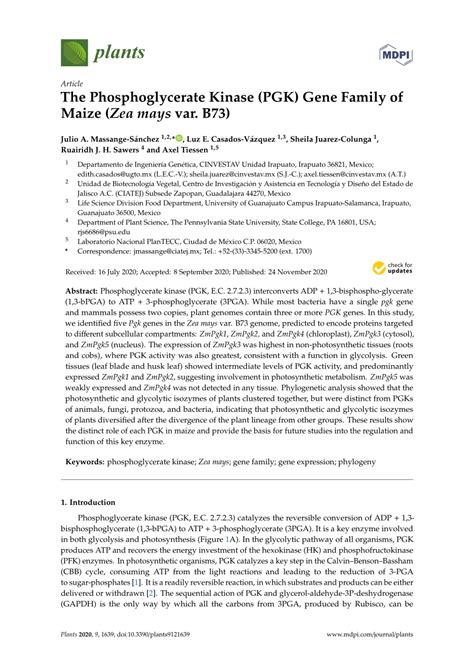 (PDF) The Phosphoglycerate Kinase (PGK) Gene Family of Maize (Zea mays ...