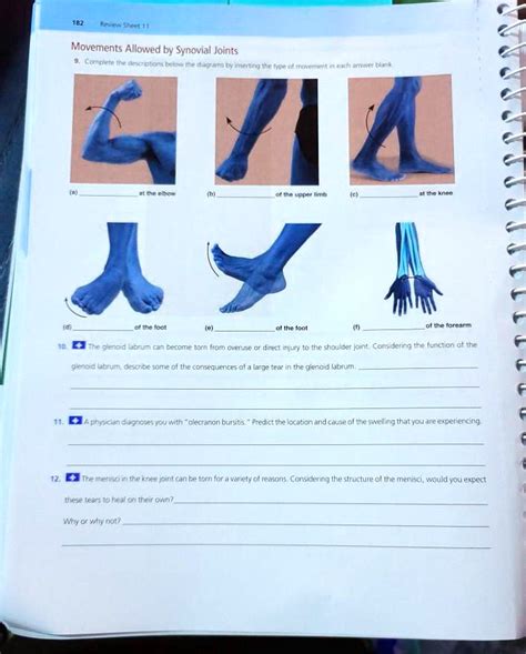 Solved Review Sheet Movements Allowed By Synovial Joints A