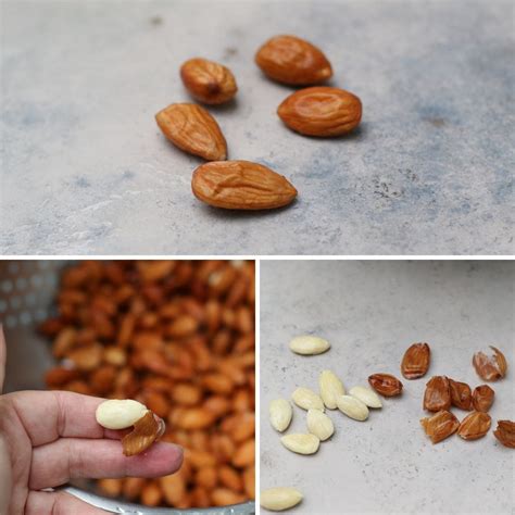 The Easiest Method for Blanching Almonds - Attainable Sustainable®