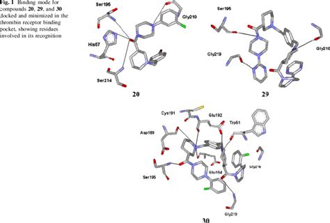 Binding Mode For Compounds 20 29 And 30 Docked And Minimized In The