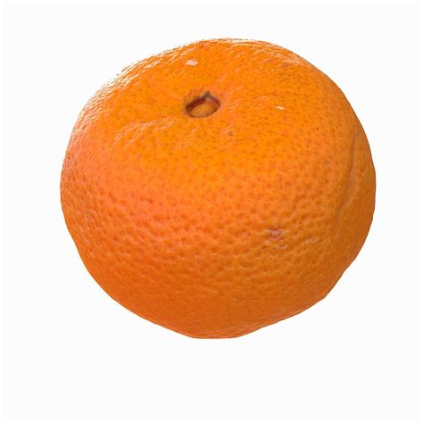 Realistic Tangerine 2 3d Model 39 Max 3ds Fbx Obj Unknown Free3d