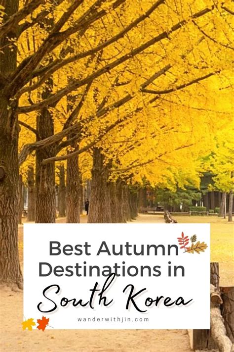 Autumn In Korea Korea Winter South Korea Destinations Amazing