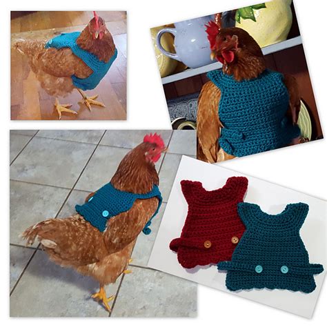 Ravelry: Chicken Sweater pattern by Jasmine Harward