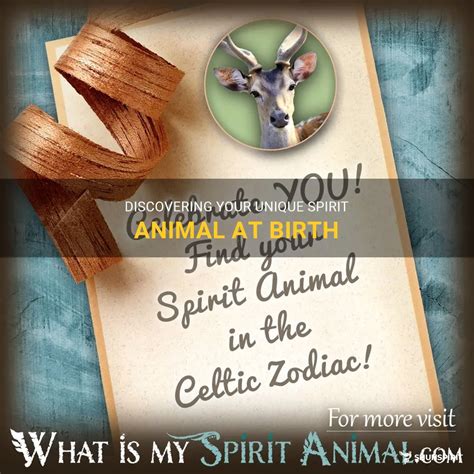 Discovering Your Unique Spirit Animal At Birth | ShunSpirit