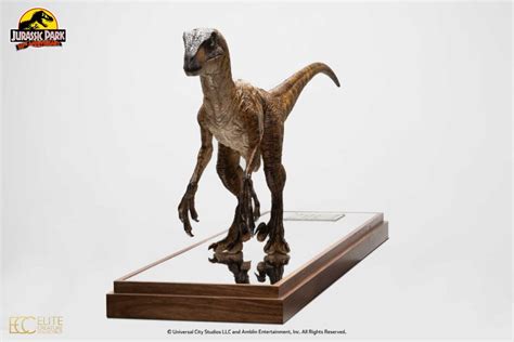 Clever Girl Velociraptor Maquette Reproduction With Acrylic Case By