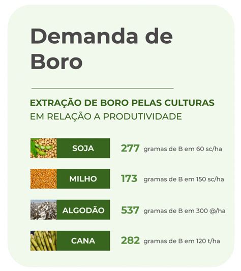 Boro nas plantas uso e aplicações Nutrição de Safras