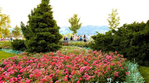 Bern Rose Garden Tours - Book Now | Expedia