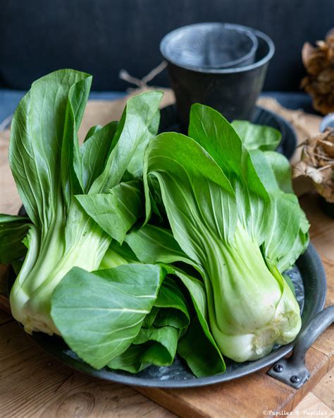 Chou chinois découvrez comment le cuisiner