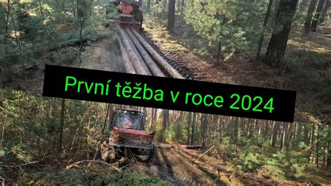 Těžba dřeva Zetor ukt 7245 Agama aga 2 Stihl Ms 261 probírka