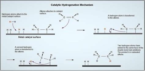 Homogeneous and Heterogenous catalysts - Chemistry Notes