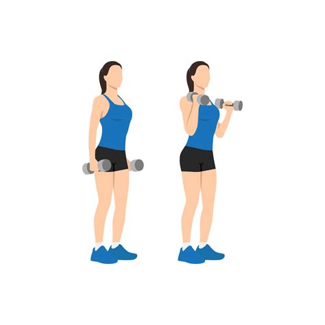 Woman doing dumbbell bicep hammer curls. Flat vector illustration isolated on different layer ...