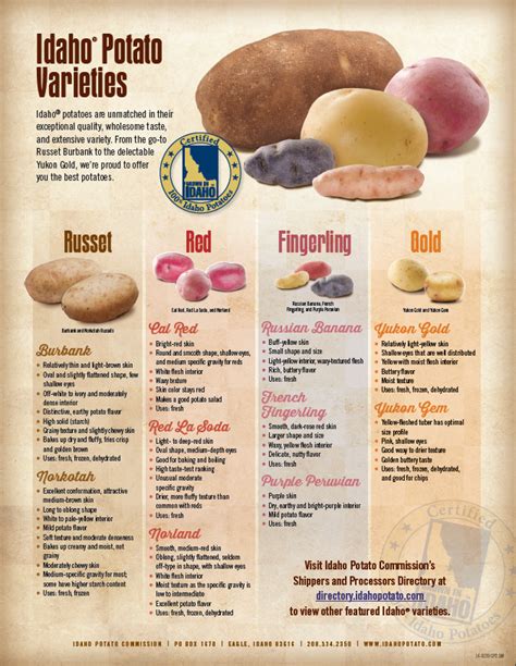 Within The Past Few Months Our Potatoes Have Been Tasteless, Lumpy And ...