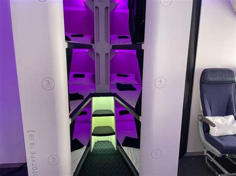 Photos Air New Zealands Future Cabin With Economy Bunk Beds