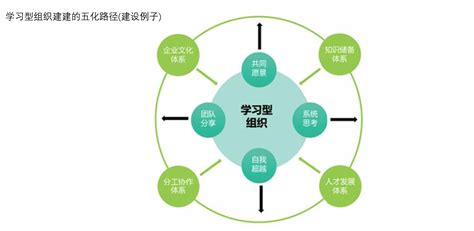 学习型组织建设tlo才博咨询肇庆有限公司