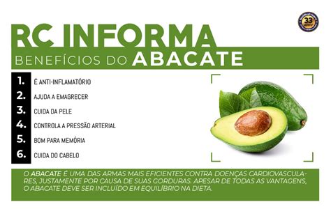 Propriedades Nutricionais Do Abacate Blog Academia Raz Es Do Corpo