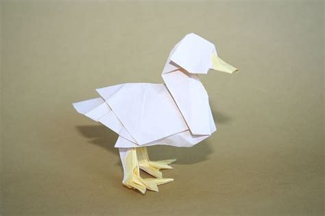 Duck Origami - Origami