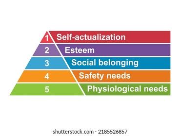 Maslow Pyramid Hierarchy Needs Motivation Model Stock Vector (Royalty Free) 2185526857 ...