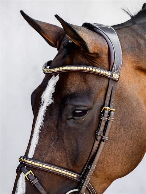 Antwerp Bridle 20 • Anatomical Bridle • Ps Of Sweden