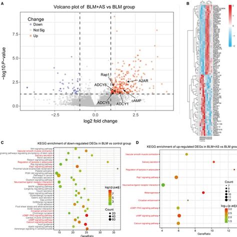 Results Of Differential Expression Analysis Between Blm As And Blm