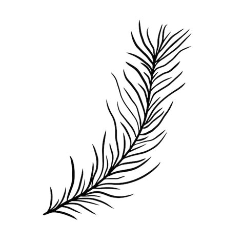 Premium Vector Hand Drawn Fern Leaf Doodle Vector Illustration