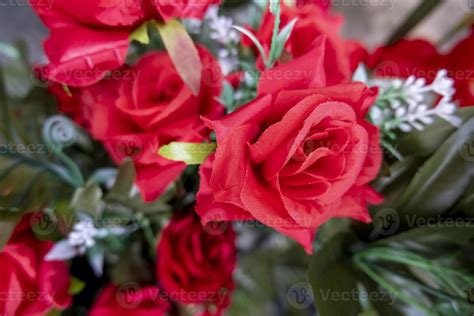 Flowers in an old cemetery 3666445 Stock Photo at Vecteezy