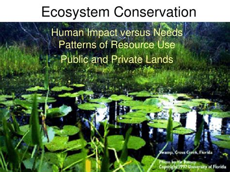 Ppt Ecosystem Conservation Powerpoint Presentation Free Download