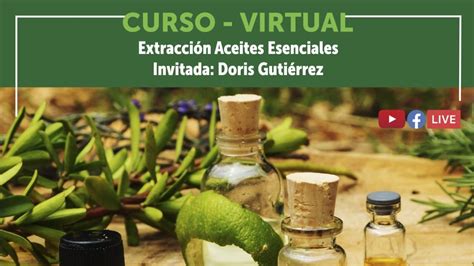 Los Esperamos En Este Curso Virtual Para Aprender C Mo Extraer Aceites