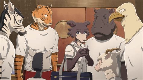 Beastars Archives - Star Crossed Anime