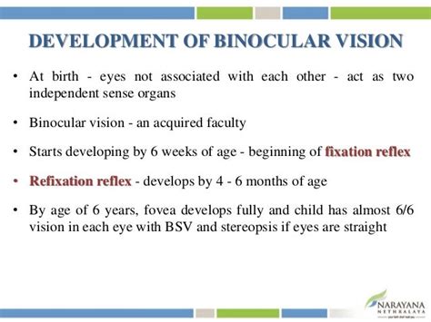 Binocular Vision