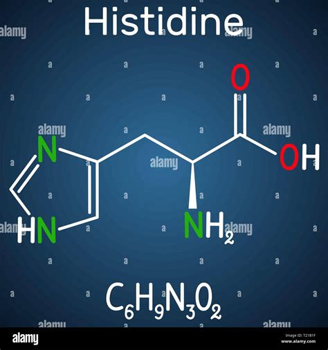 Histidine L Histidine His H Amino Acid Molecule It Is Used In The